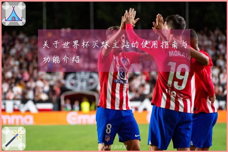 关于世界杯买球主站的使用指南与功能介绍
