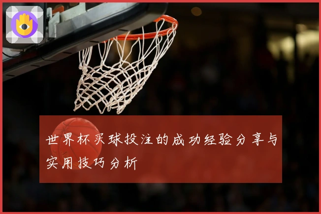 世界杯买球投注的成功经验分享与实用技巧分析