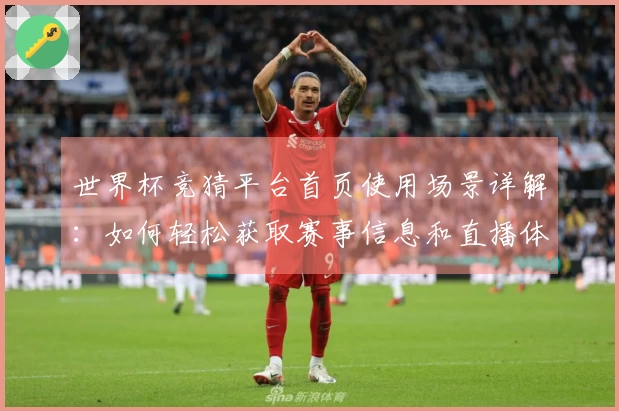 世界杯竞猜平台首页使用场景详解：如何轻松获取赛事信息和直播体验