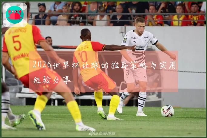 2026世界杯让球的推荐策略与实用经验分享
