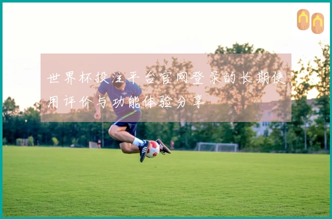 世界杯投注平台官网登录的长期使用评价与功能体验分享