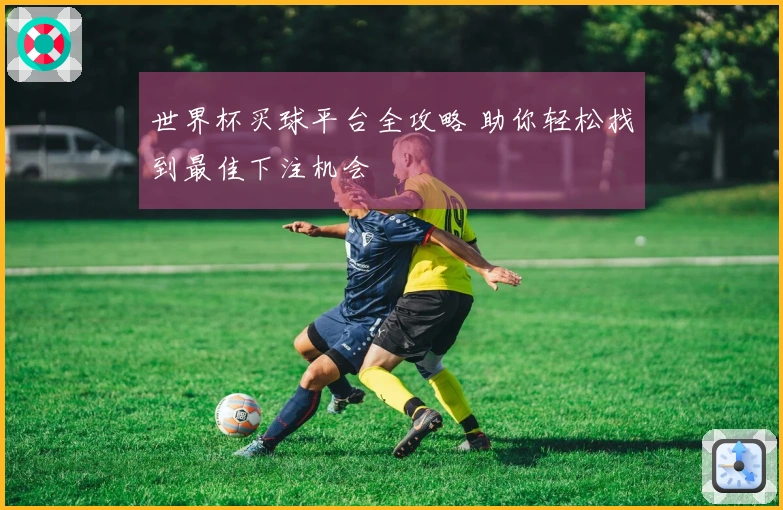 世界杯买球平台全攻略 助你轻松找到最佳下注机会