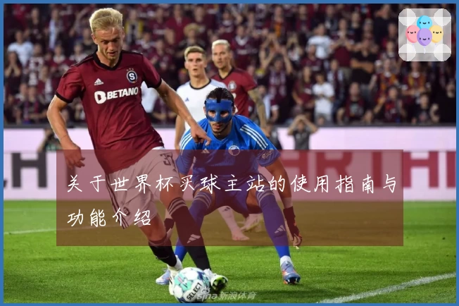 关于世界杯买球主站的使用指南与功能介绍