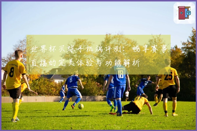 世界杯买球手机端评测：畅享赛事直播的完美体验与功能解析