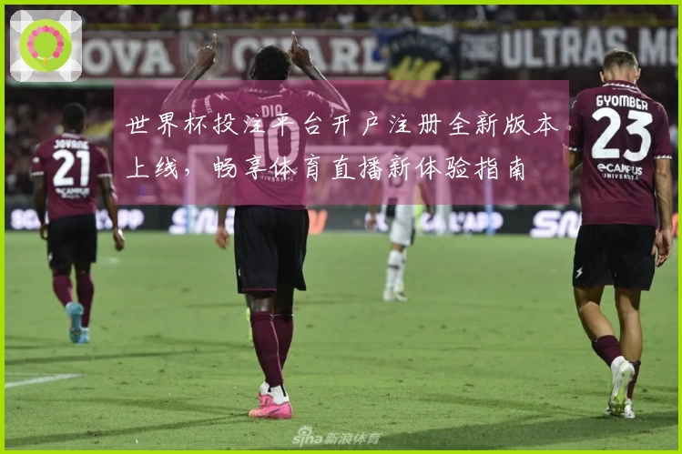 世界杯投注平台开户注册全新版本上线，畅享体育直播新体验指南